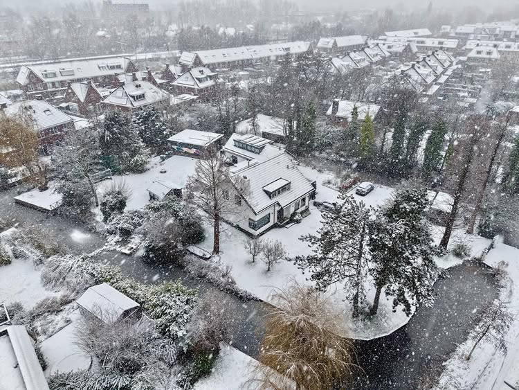 Ralph Sneeuwschade Herstellen